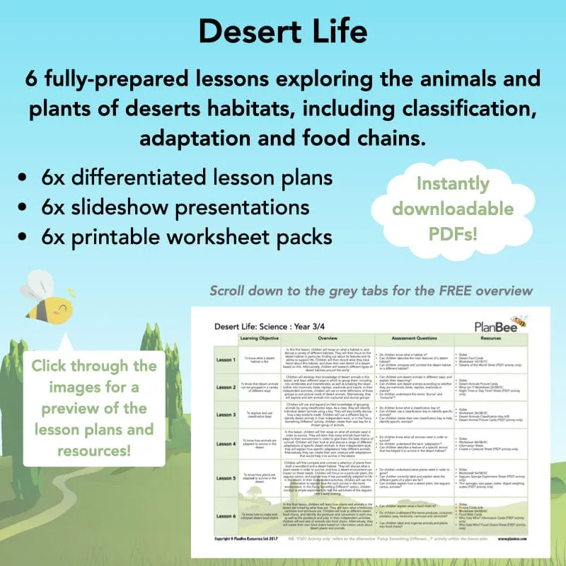 Desert Life