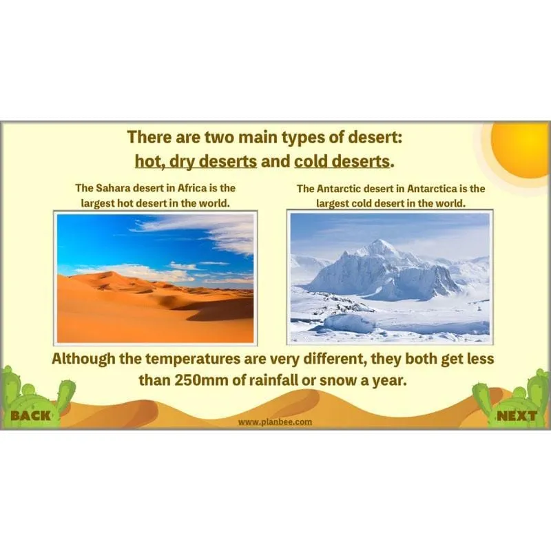 Desert Life