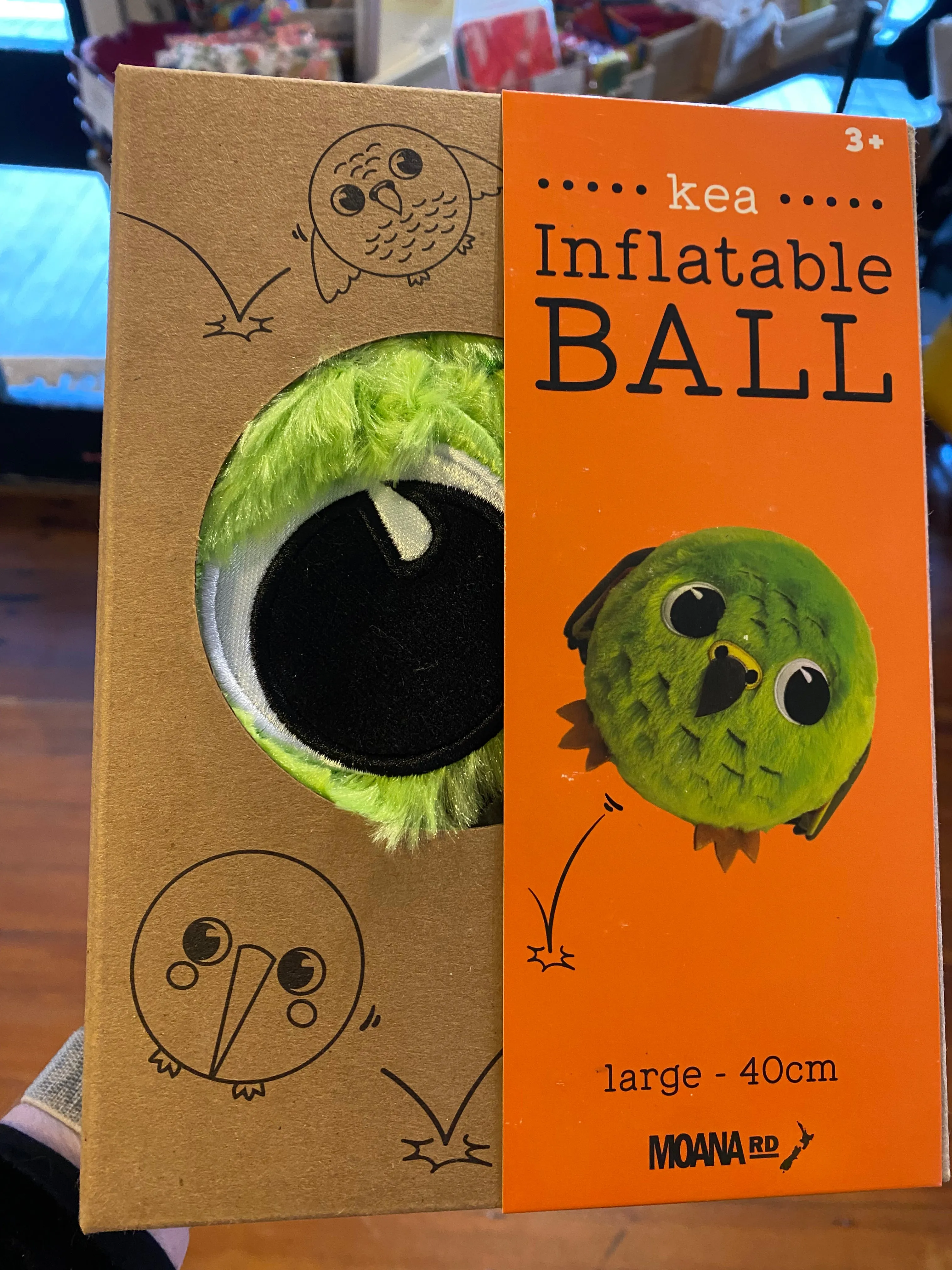 Moana Road Inflatable Ball Bird Large