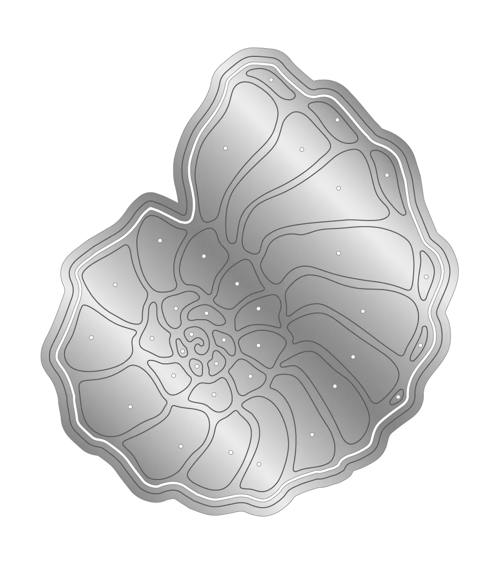 Sara Signature - Enchanted Ocean - Metal Die - Spiraling Shell